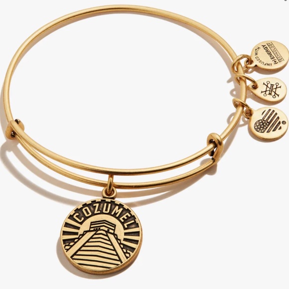Alex and Ani Cozumel Charm Bangle - Picture 1 of 2